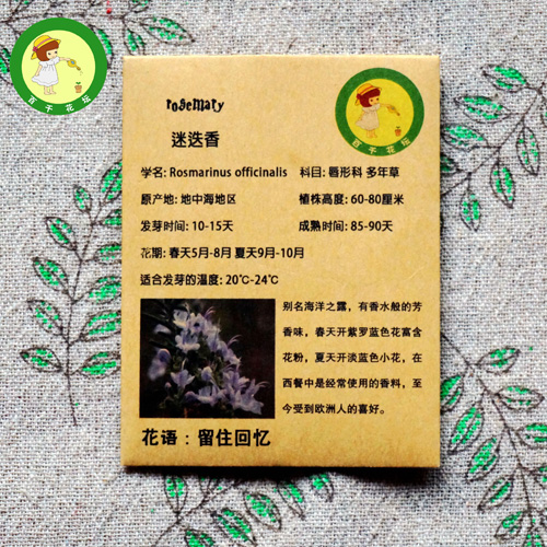 迷迭香种子 Rosemary 海洋之露20seed 欧洲常用香料 西餐香草种子