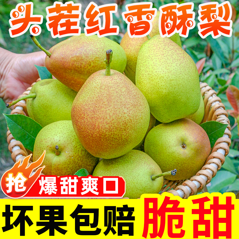 红香酥梨新鲜当季整箱10斤包邮梨子