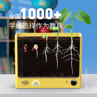 科学小实验套装植物根系种植观察窗四年级小学生儿童种子生长玩具