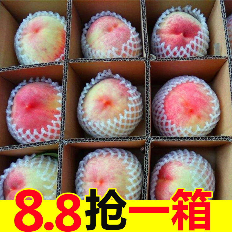 现摘水蜜桃包邮孕妇脆甜应季毛桃