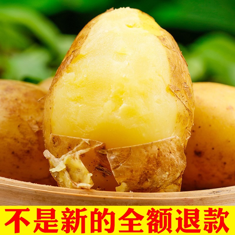 现挖新鲜整箱包邮马铃薯大土豆