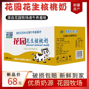 新疆花园核桃花生牛奶整箱200g×20袋早餐灭菌特价百利软包营养鲜