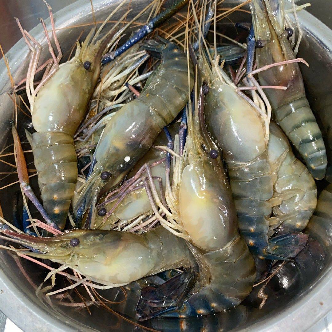 4斤冰鲜罗氏沼虾活冻罗氏虾大头虾生冻鲜活沼虾淡水虾大青虾对虾