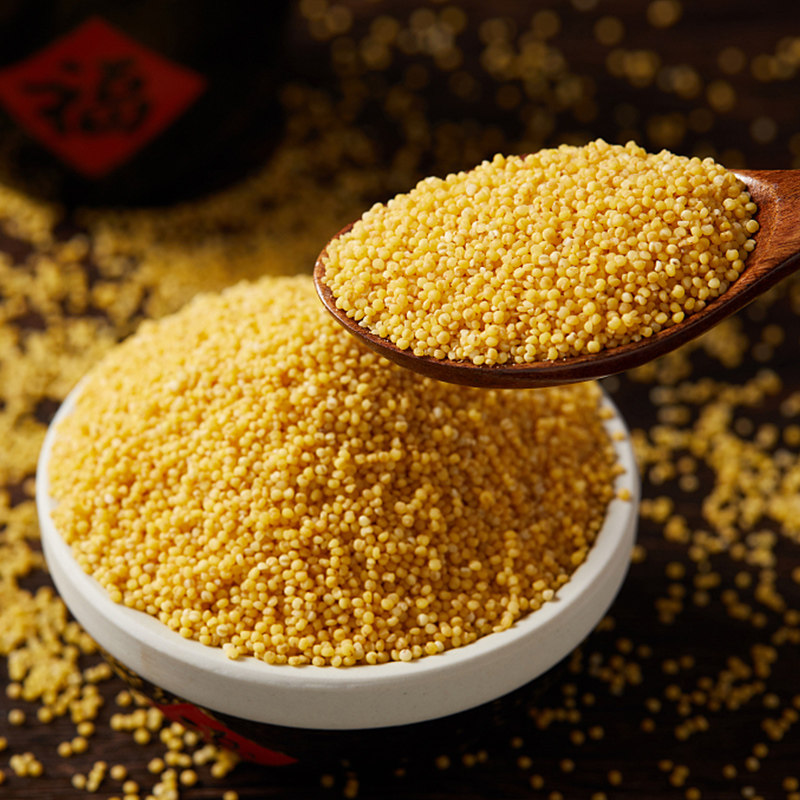 小米粮食小黄米山西特产