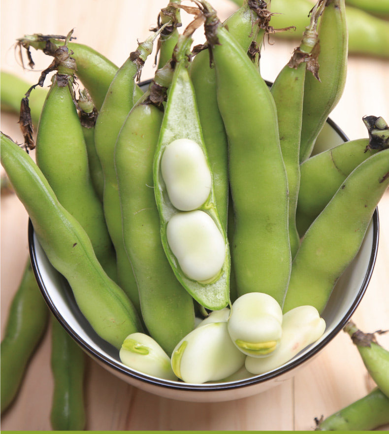 云南新鲜蚕豆5斤农家带壳生蚕豆罗汉豆兰花胡豆佛青豆荚蔬菜包邮