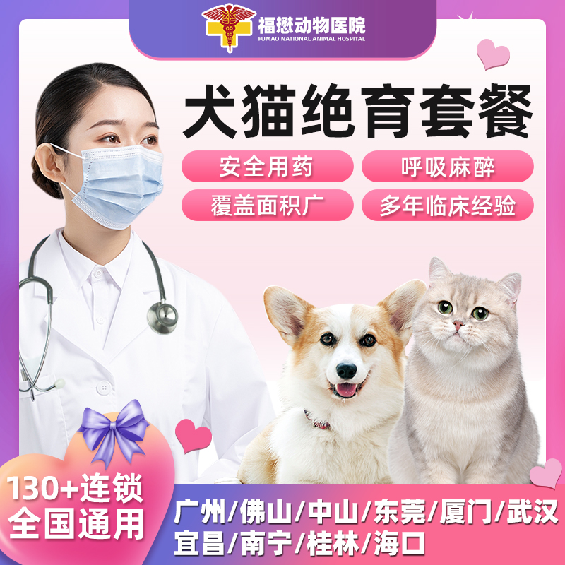 【福懋动物医院】公猫母猫绝育猫咪狗狗宠物呼吸麻醉手术门店通用