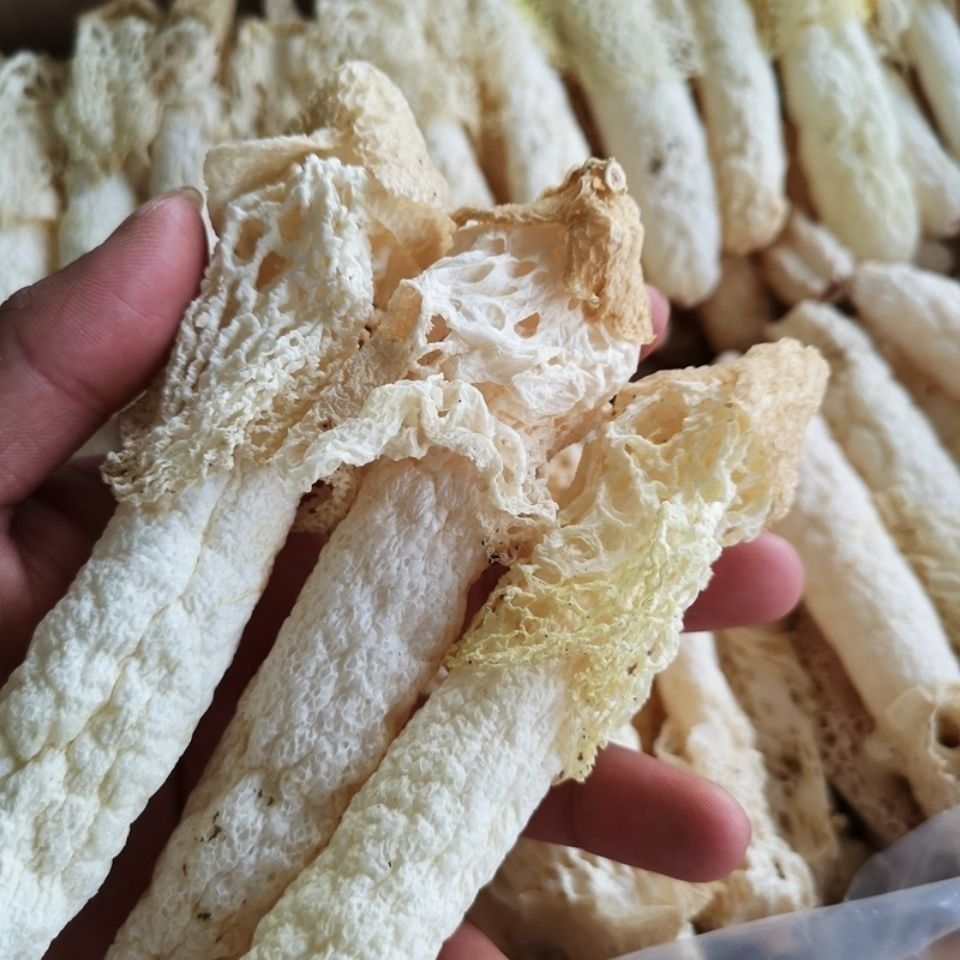 野生红托竹荪干货特级无硫短裙织金竹笙高原特产味道清香鲜美