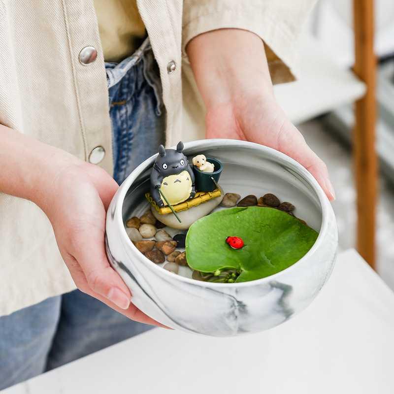 猫草纹网红铜钱陶瓷无孔草猫水仙花盆水培多肉仙花大理ins草多北|ruв категории Домашний быт, ваза/цветок/искусственные цветы/моделирование украшения, цветок/ваза, горшок - от Buy2taobao.com для оказания профессиональной услуги покупки агента Taobao