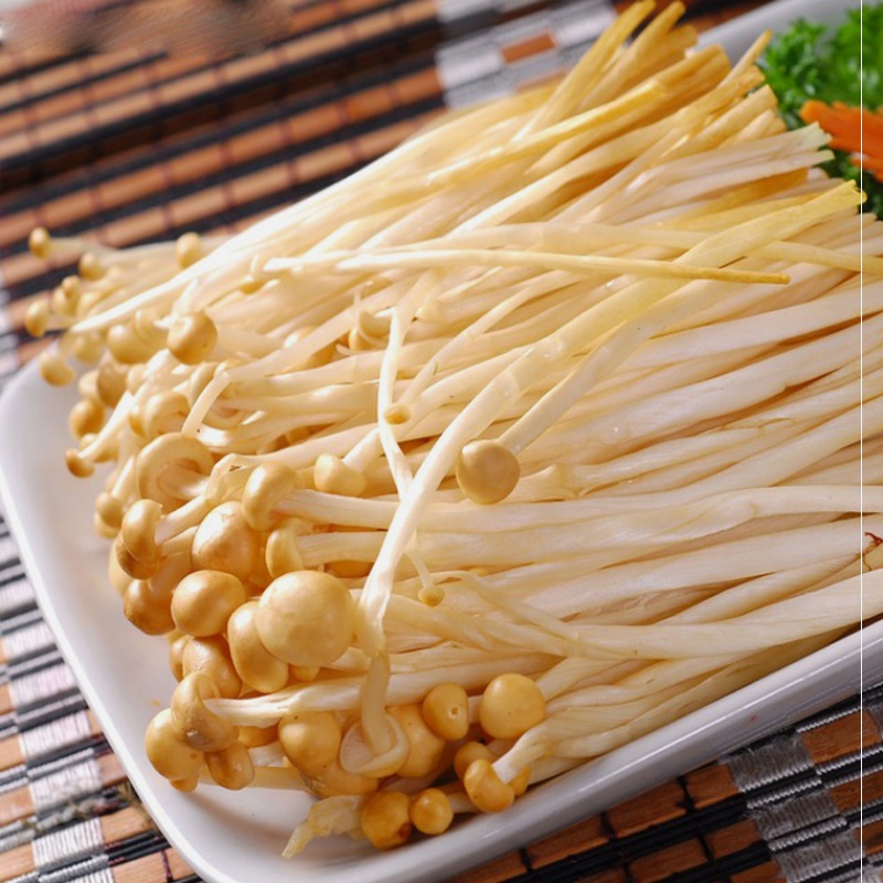 热销金针菇新鲜5斤装