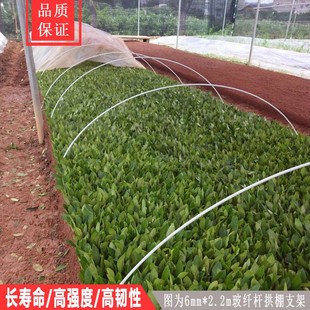 拱棚支架蔬菜棚拱杆种菜大棚菜地隔断防鸟篱笆家用温室小花棚分隔