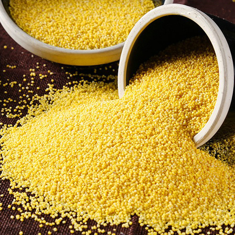 肴之缘糯小米500克2袋贵州黄平特产黄小米糯米五谷杂粮粘米