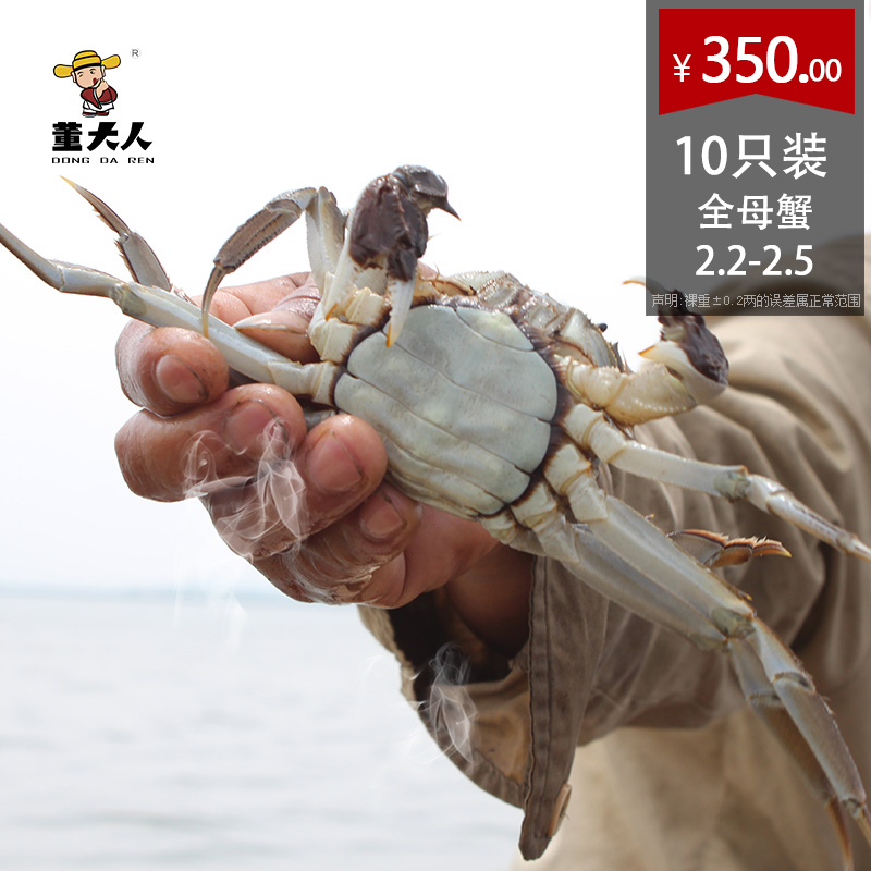 【活蟹】董大人骏海水产鄂州大闸蟹全母蟹2.2-2.5两螃蟹10只现货