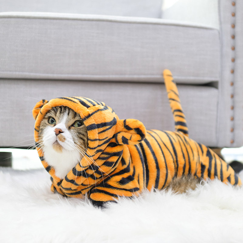 网红猫咪衣服老虎装秋装防掉毛狗狗英短蓝猫奶猫冬季宠物秋冬秋天