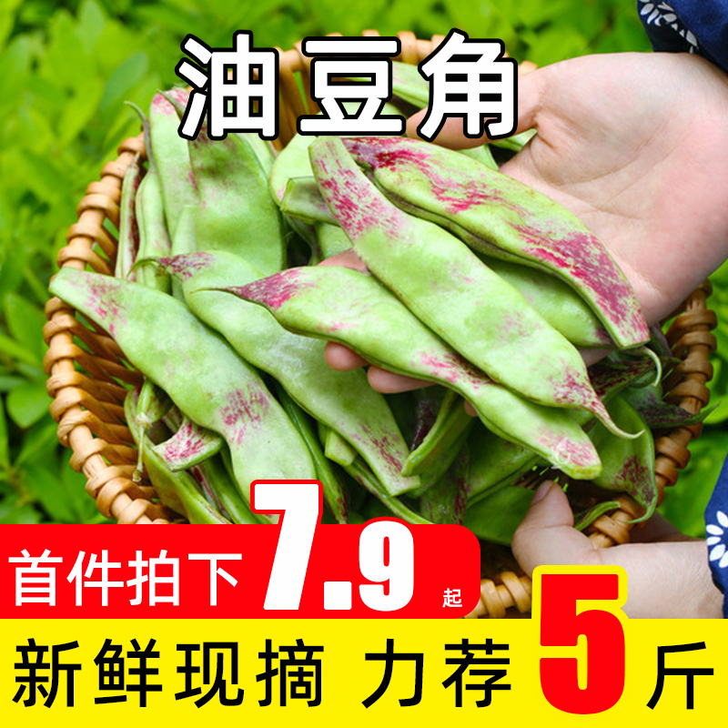 正宗东北油豆角新鲜现摘应季农家蔬菜