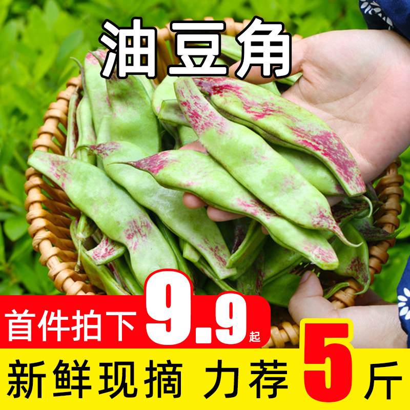 正宗东北油豆角新鲜现摘应季农家蔬菜