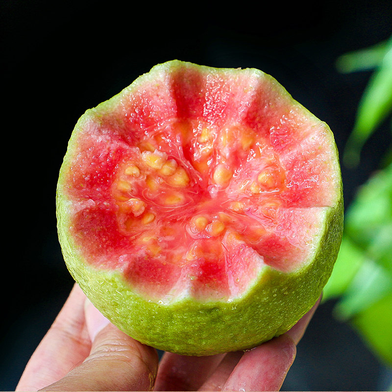 广西特产红心果番石榴新鲜红芭乐