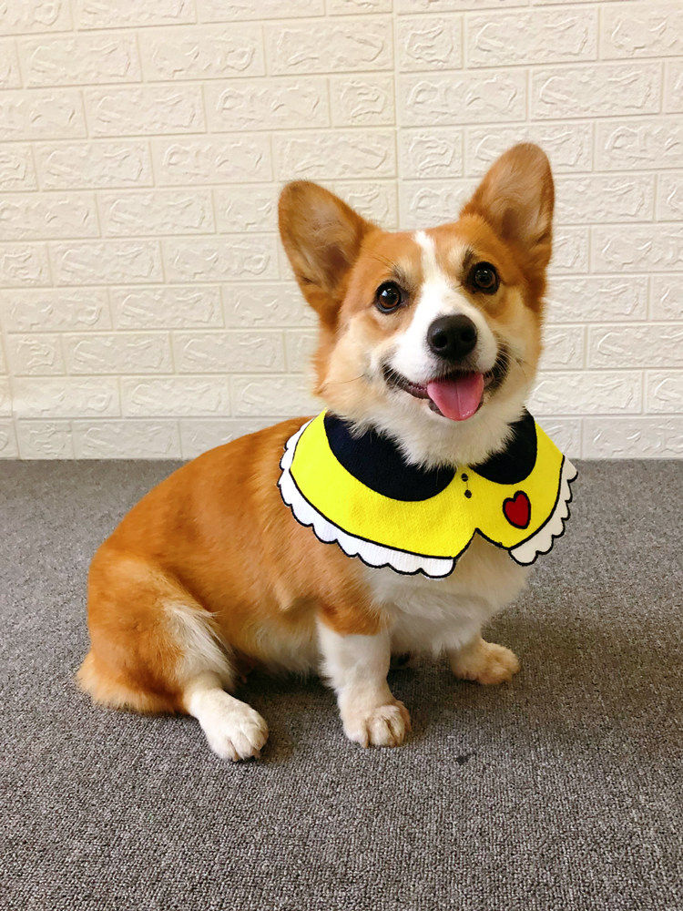 口水围巾围脖狗狗围兜三角巾巾柯柯基围巾