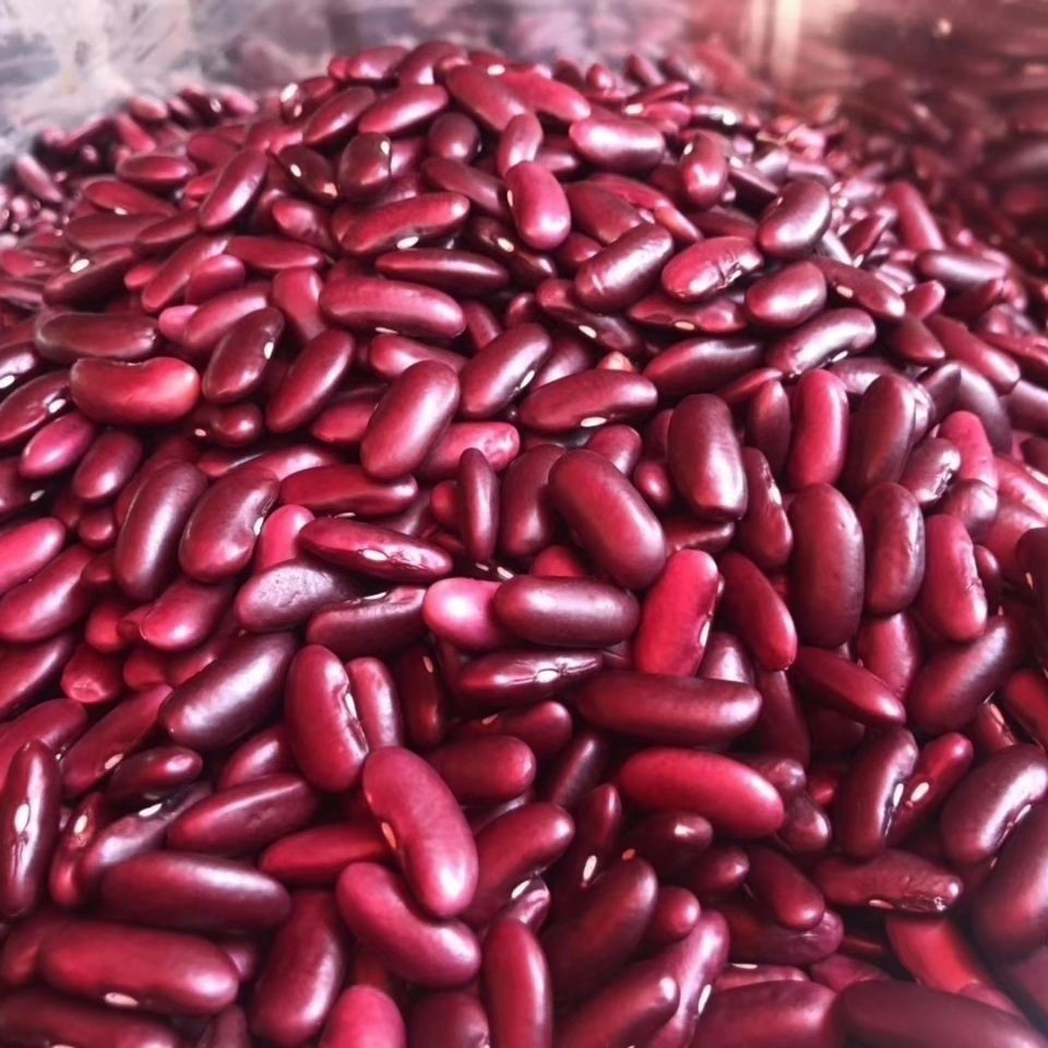 红腰豆5斤云南农家大红豆红芸豆红花豆磨豆浆专用五谷杂粮包邮
