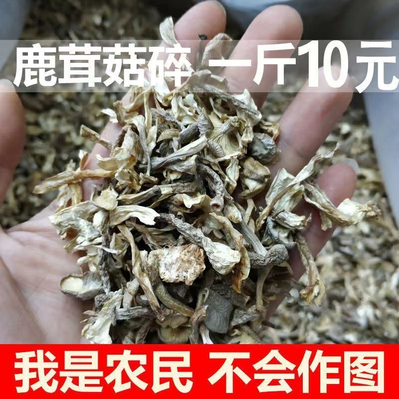 大碎无粉末鹿茸菌碎片500g包邮鹿