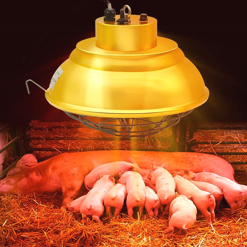 日本品质养殖场鸡鸭猪卤素保温灯卤素养殖取暖灯节能可调温度育雏