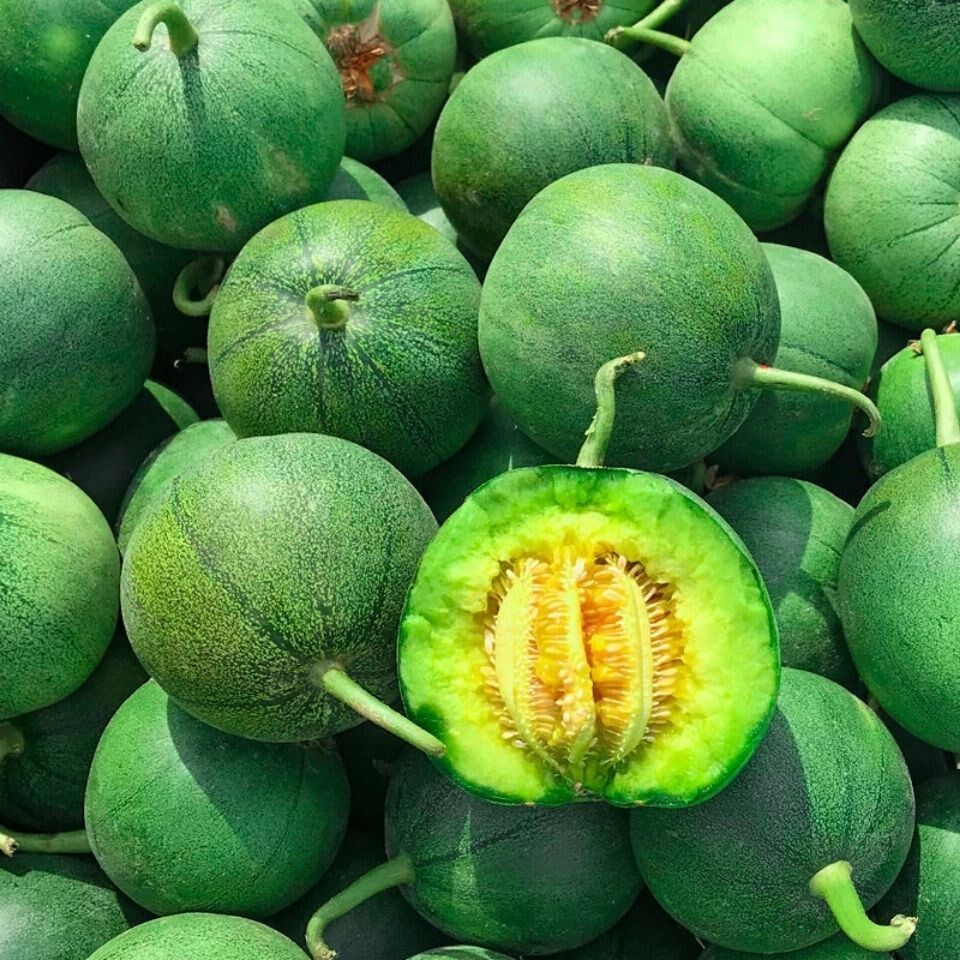 头茬绿宝甜瓜水果新鲜整箱脆瓜蜜瓜10当季瓜果绿宝石东北香瓜