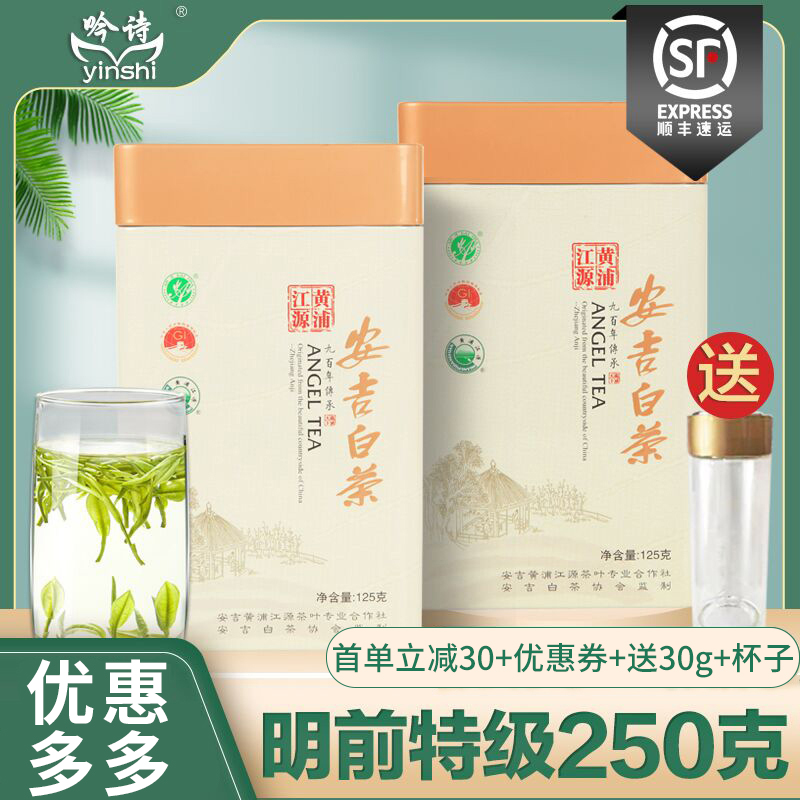 2024年新茶正宗安吉白茶明前特级