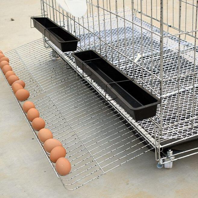 鸟单层鸡圈加大鸽笼子家用鸡笼鸡笼h室内简易隔断折叠铁丝笼装