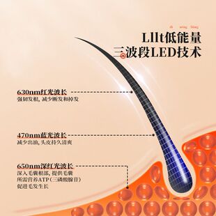 德国进口红蓝光生发帽激光仪生发仪控油防脱增发密发头皮护理仪器