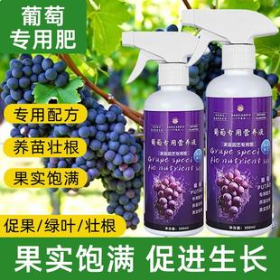 葡萄专用营养液养花肥料复合肥绿植盆栽水果通用氮磷钾肥