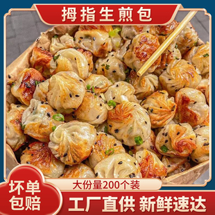 拇指生煎包儿童早餐半成品速食早饭小笼包子特色速冻食品小吃商用