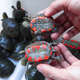 红腹西锦龟深水龟鱼缸混养乌龟西部吃粪龟观赏小乌龟活物东锦龟苗