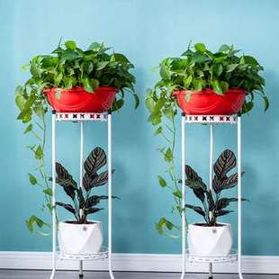 花盆支架托架吊兰植物垂吊花架子放花的绿萝花架客厅单个室内高款