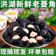 应季湖北新鲜大菱角甜糯黑菱角野生老菱角现摘现发即食老菱角