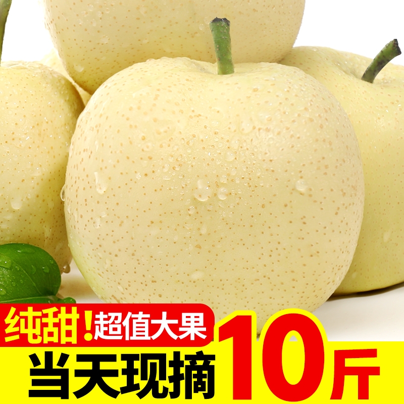 新鲜梨子河北皇冠梨10斤整箱包邮当