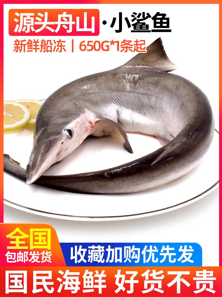 鲨鱼肉鲜活新鲜