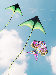 儿童新款潍坊风筝网红长尾巴微风易飞大人草原初学者专用成人线轮