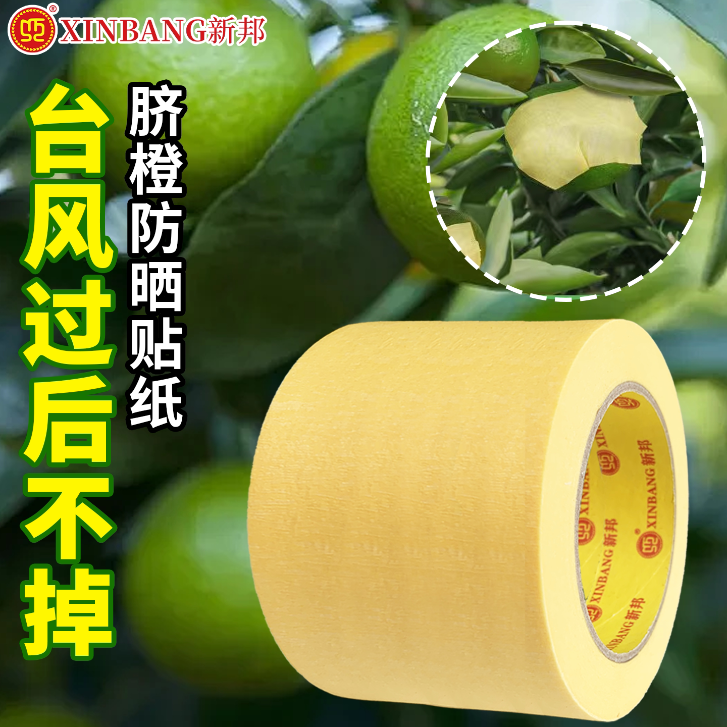 柑橘防晒贴纸太阳果水果防晒防脐橙柑桔防日灼橘子果子耐高温贴纸