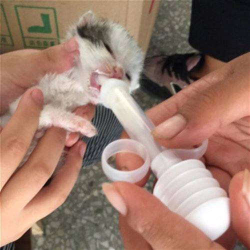 宠兔喂奶器小狗小猫奶瓶 新生猫刚喂生狗小奶瓶出奶管物子