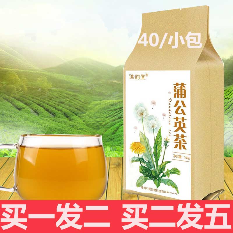 蒲公英茶叶乳腺女性浦薄莆葡公英茶野生小袋装通特级同仁堂纯天然