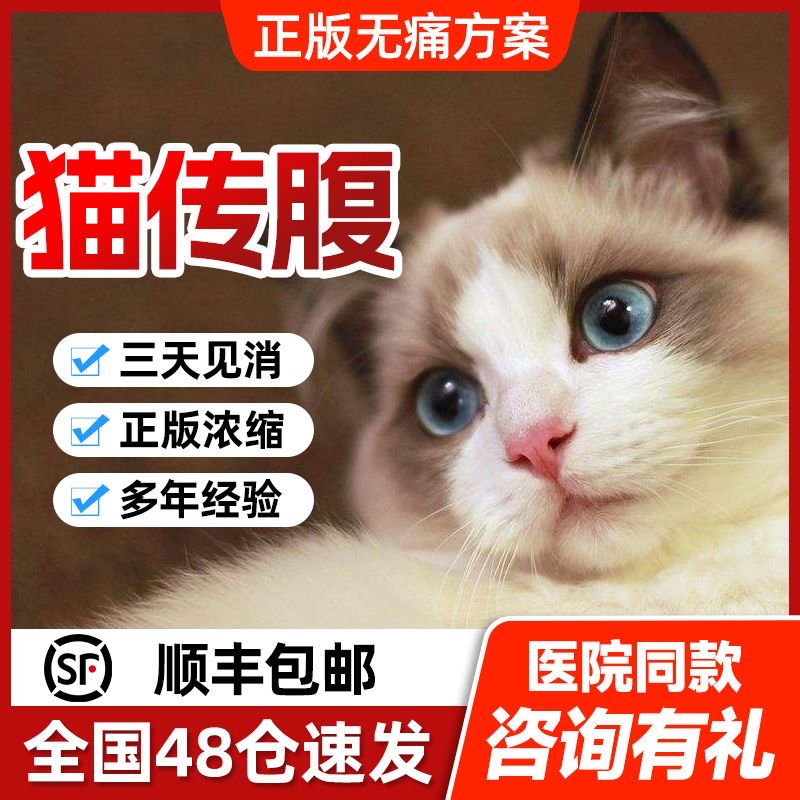 猫传腹抑制剂干性湿性传染性腹膜炎针