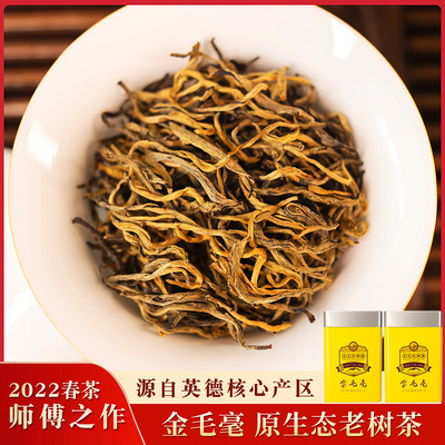 英德红茶英红九号旗舰店茶蜜香型金毛毫茶叶罐装礼盒送礼买一送一