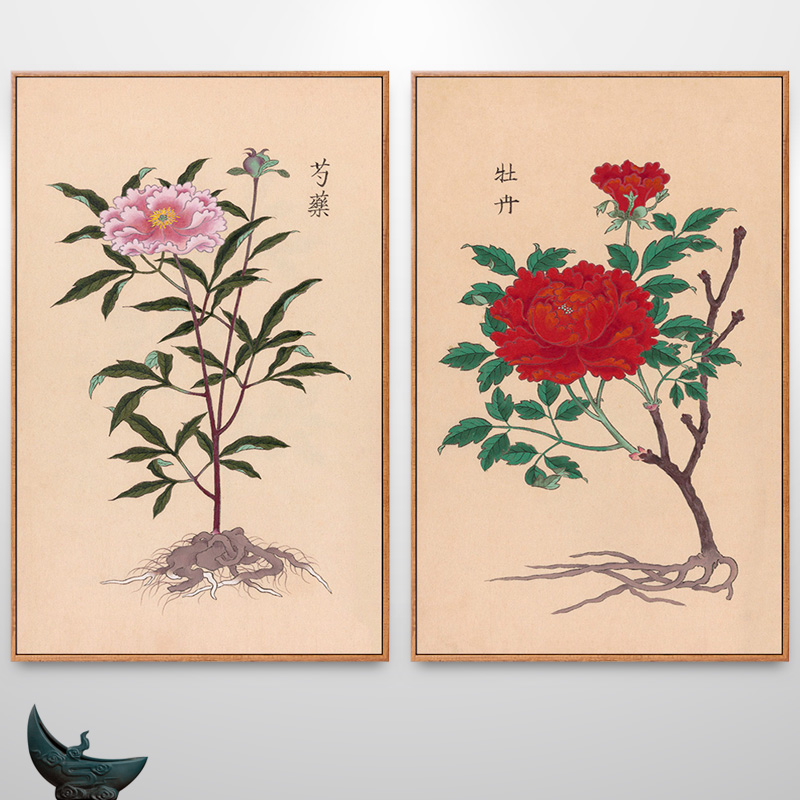 庶物类纂图翼本草纲目草药植物挂画中医馆装饰画走廊过道竖版壁画