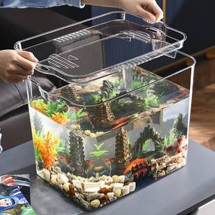 迷你观赏辣椒蟹宠物鱼缸客厅桌面微景观螃蟹缸寄居蟹塑料饲养盒