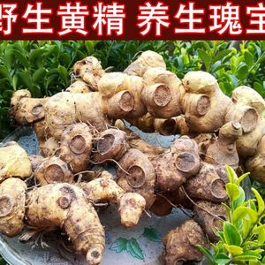 黄金草药功效图片