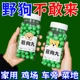 驱狗专用药长效室外驱狗器神器汽车轮胎防狗尿喷剂药强力防驱赶剂