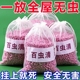 百虫清安全驱虫香包衣柜香薰挂件防蚊蟑螂气味驱赶无毒无害多用途