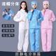 防静电服连帽分体服无尘衣透气食品厂电子车间喷漆防护洁净服男女