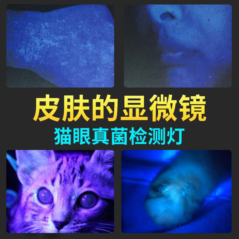 德伍氏灯wood灯皮肤r白斑检测灯美容院黑头粉刺荧光灯紫光灯伍德