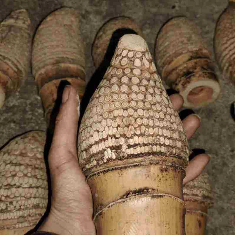 楠竹根料根雕金蟾原材料竹根雕金蟾圆润满钉竹根竹根蟾蜍