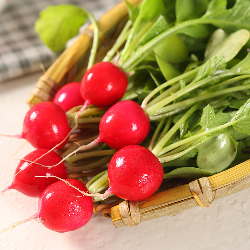 东北樱桃萝卜红丁当季水果新鲜小红萝卜头甜脆农家蘸酱菜蔬菜包邮